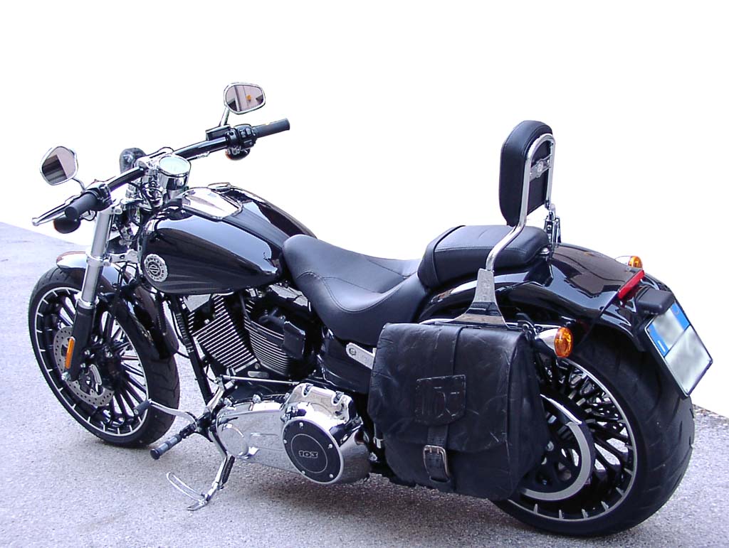 borsone laterale per Harley Davidson Sportster 883